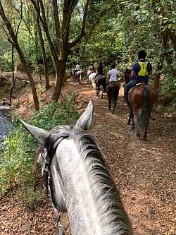 Cabalgatas